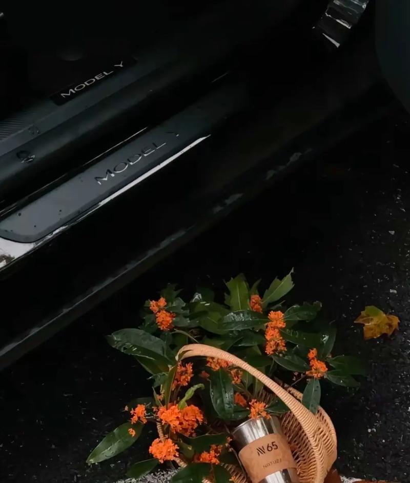 《风与潮》马万祺为何贤正名 何鸿燊提供助力粮食危机成功解决 《风与潮》马万祺为何贤正名 何鸿燊提供助力粮食危机成功解决