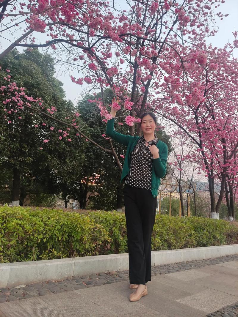 自闭症沙龙课程自闭症个训课题