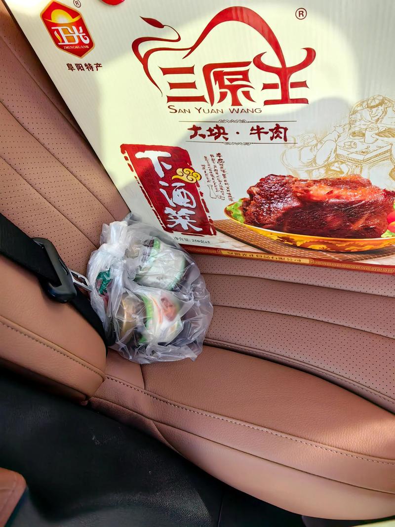 自闭小海豹 小海豹太可爱了