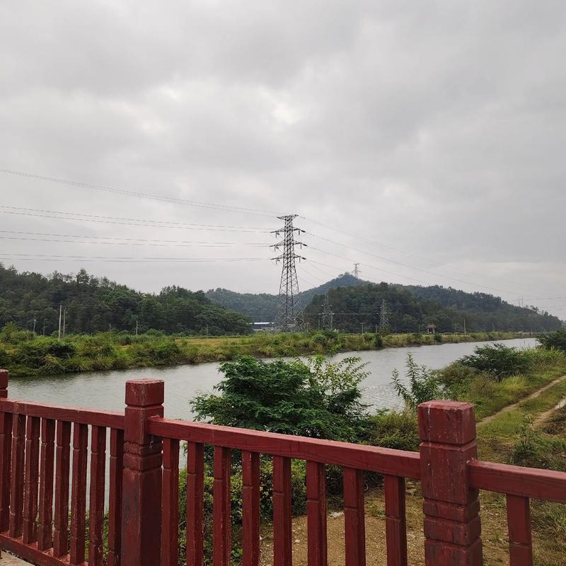 孙骁骁为什么选择任重