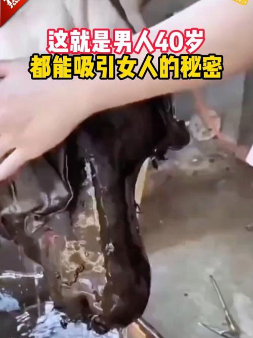 战斗机常规干扰导弹的模式有哪些（战斗机发射的干扰弹有什么用把敌机导弹引