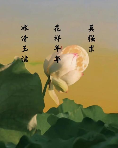 自闭女孩康复之路(自闭症女子)