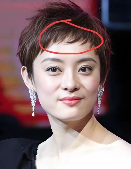 浦东自闭症学校在哪里