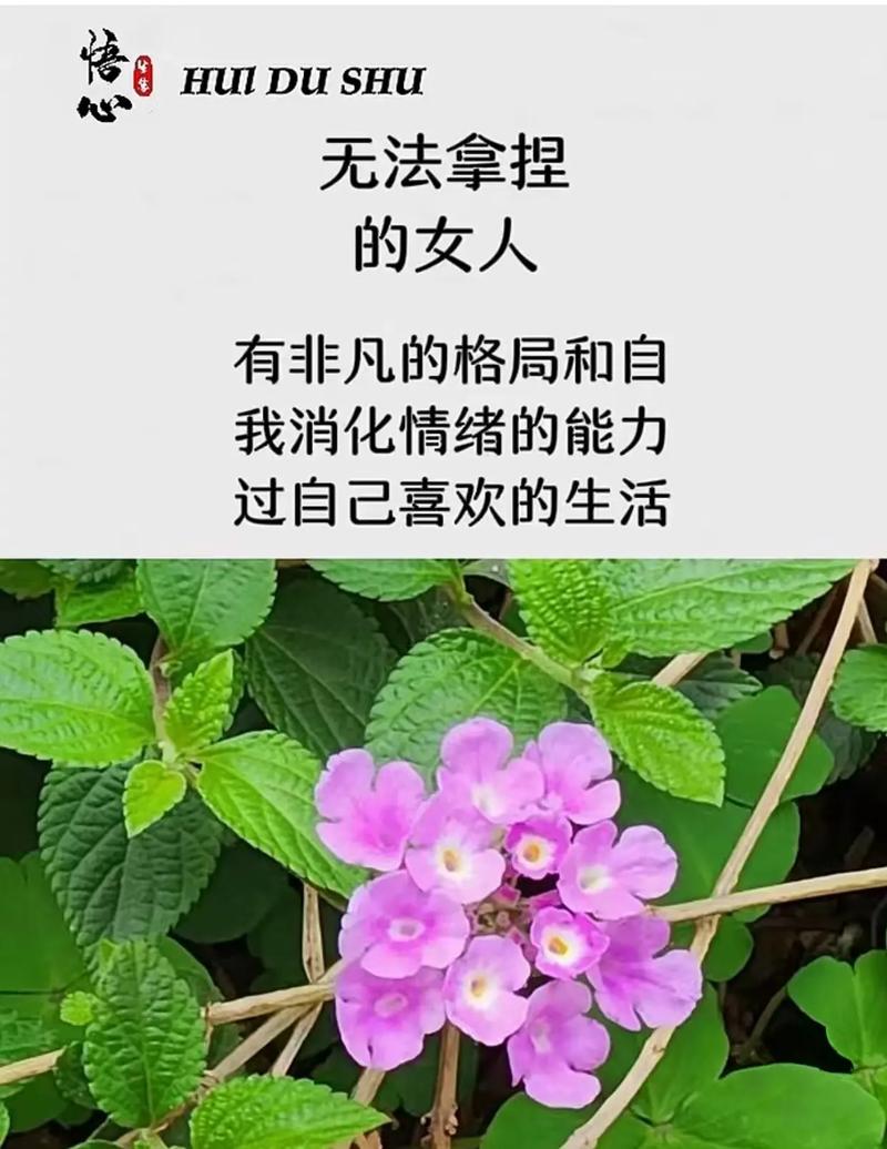 癫痫也是自闭症的表现吗