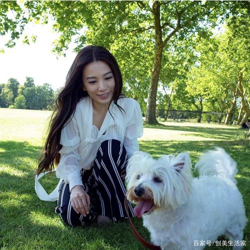放置背景线自闭 放置背景线自闭怎么设置