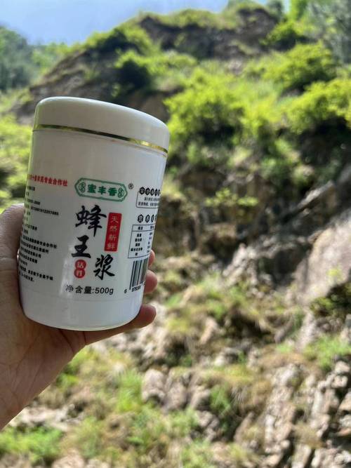 双人编导自闭症 双人编导自闭症怎么办