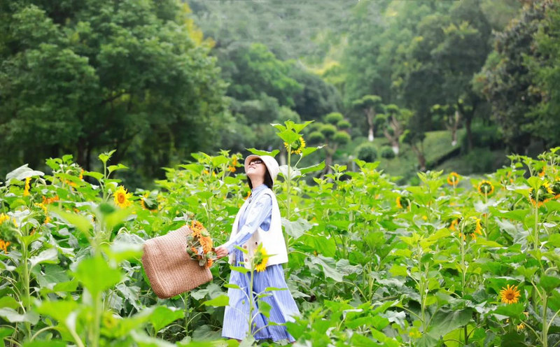 腾讯拿下《你的名字》改编权 女主或由火箭少女担任 腾讯拿下《你的名字》改编权 女主或由火箭少女担任