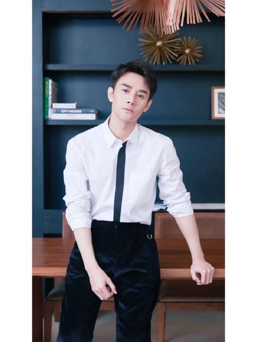 积木夫妇(积木夫妇cut全集)