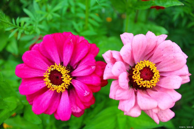 学生慰问自闭儿童 慰问自闭儿童讲话稿