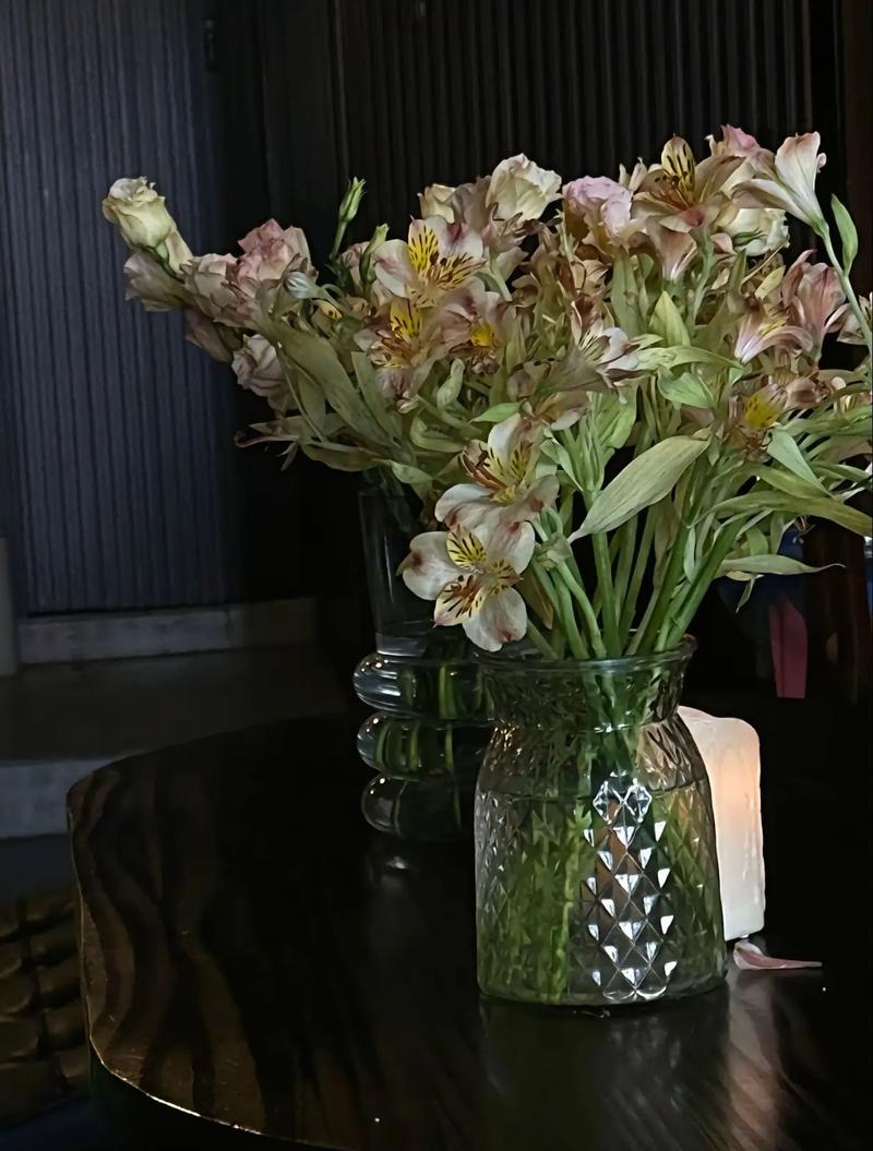 李彩桦电影 李彩桦电影单身部落免费观看