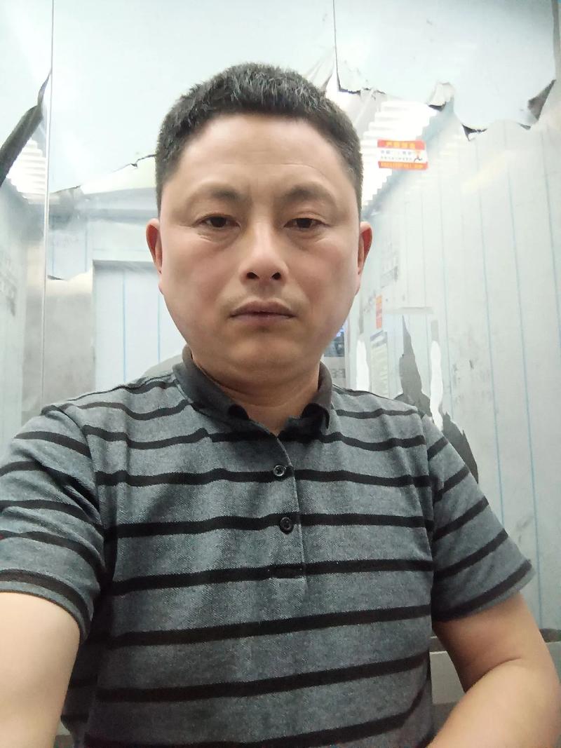 大学自闭回家(大学自闭症)