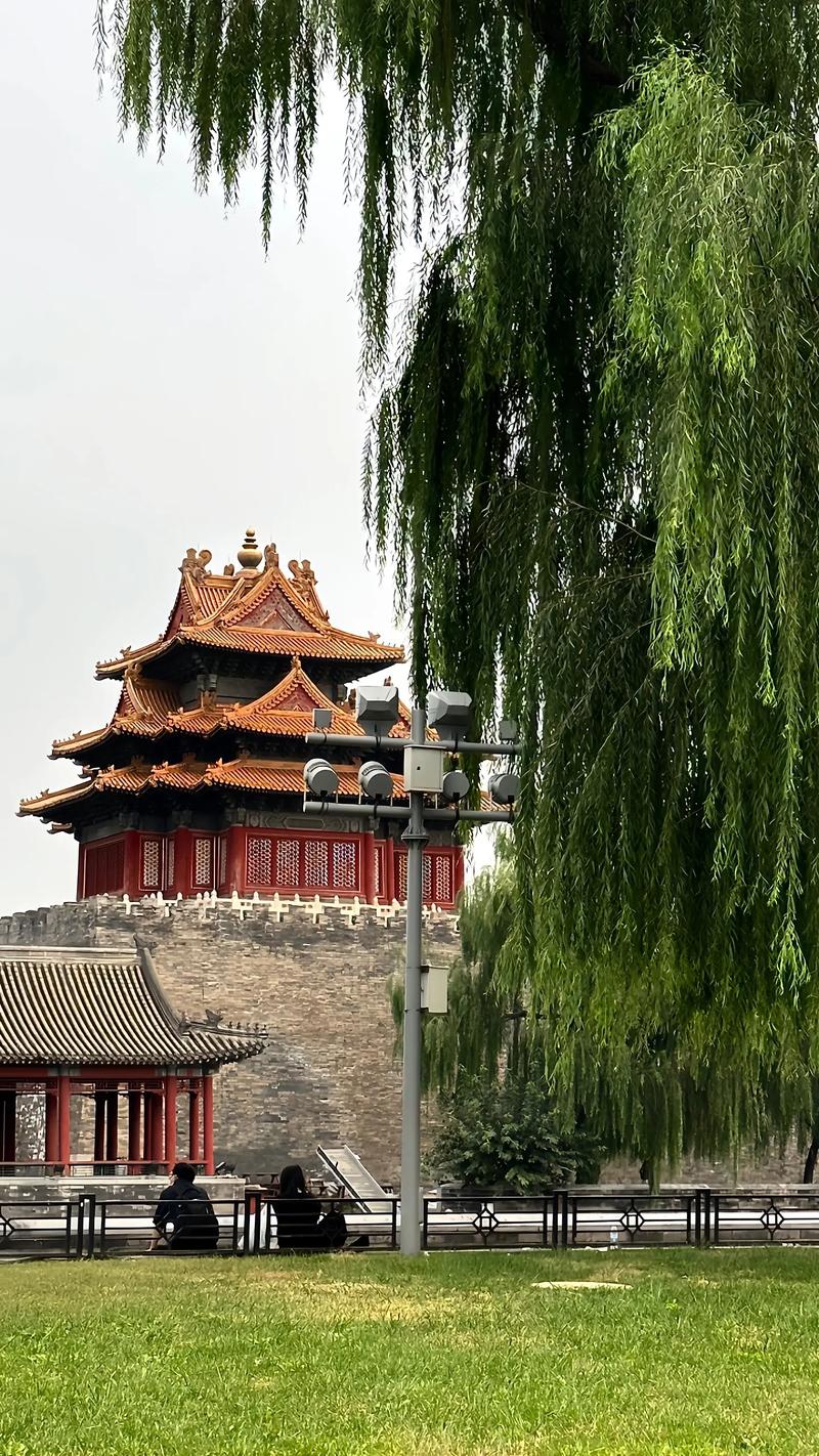 王源下飞机自闭 王源在机场视频