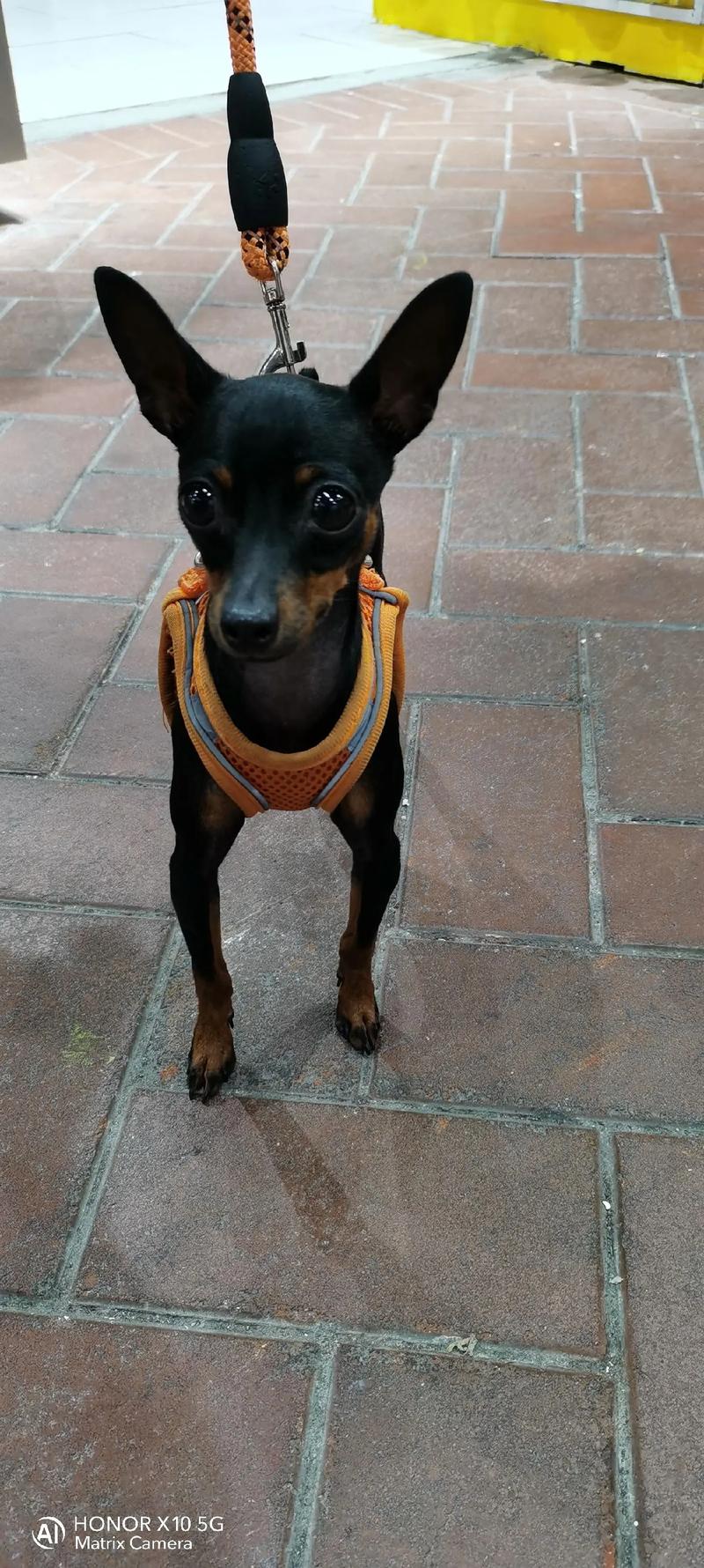 关于治愈自闭症的故事书