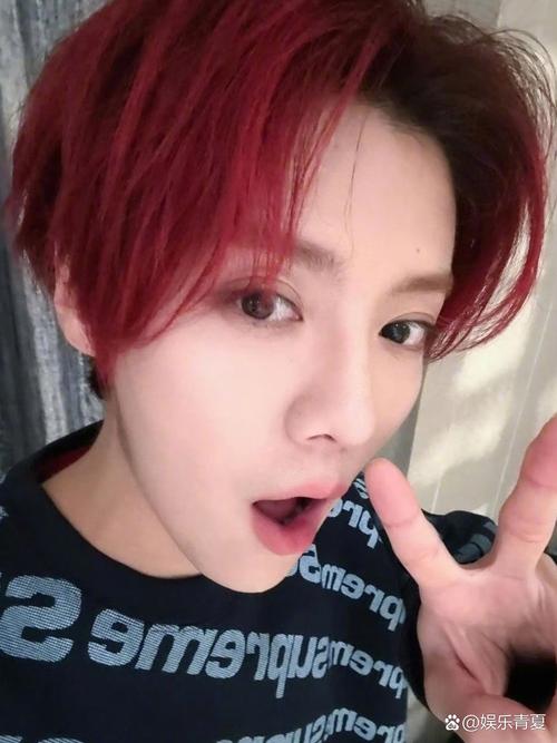 20岁博士自闭 自闭症的儿子考上博士