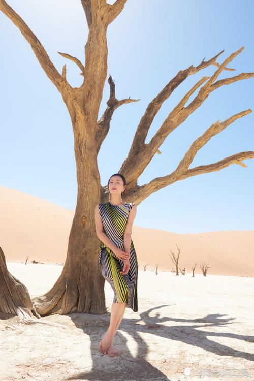 极限挑战第三季第二期