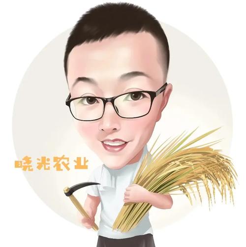 穿搭太差自闭 穿搭不好