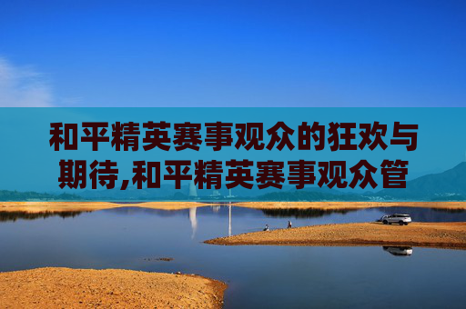 和平精英赛事观众的狂欢与期待,和平精英赛事观众管理组的工作内容
