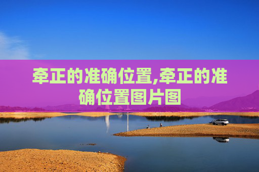 牵正的准确位置,牵正的准确位置图片图