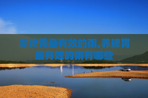 养脾胃最有效的粥,养脾胃最有效的粥有哪些