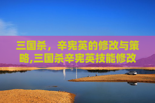 三国杀，辛宪英的修改与策略,三国杀辛宪英技能修改