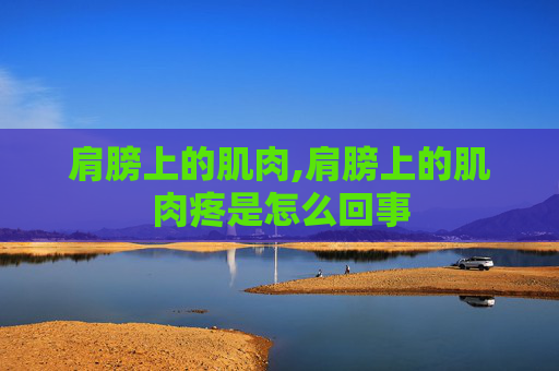 肩膀上的肌肉,肩膀上的肌肉疼是怎么回事