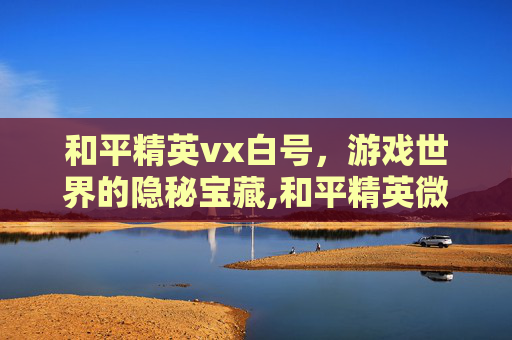 和平精英vx白号，游戏世界的隐秘宝藏,和平精英微信白号