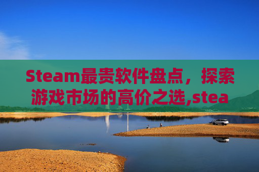 Steam最贵软件盘点，探索游戏市场的高价之选,steam最贵的东西