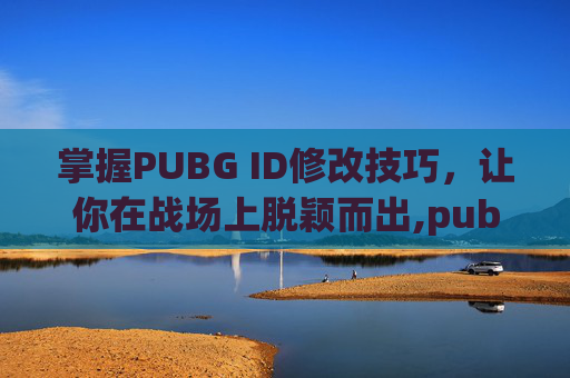 掌握PUBG ID修改技巧，让你在战场上脱颖而出,pubg怎么改中文界面