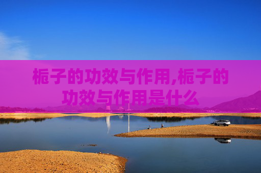 栀子的功效与作用,栀子的功效与作用是什么
