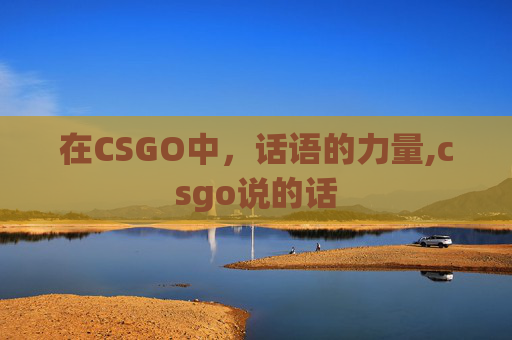在CSGO中，话语的力量,csgo说的话