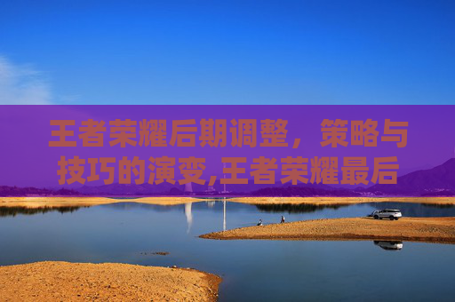 王者荣耀后期调整，策略与技巧的演变,王者荣耀最后调整