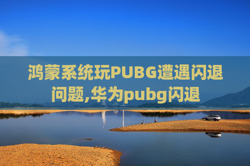 鸿蒙系统玩PUBG遭遇闪退问题,华为pubg闪退