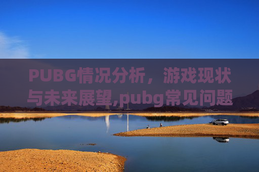 PUBG情况分析，游戏现状与未来展望,pubg常见问题