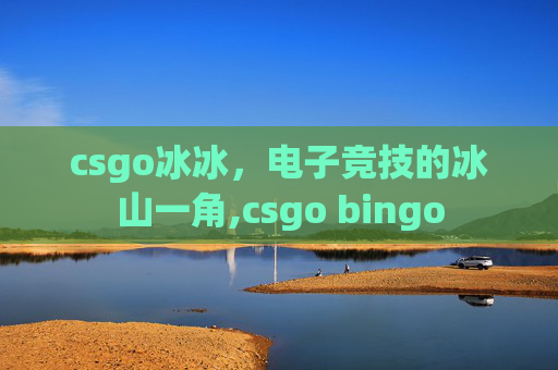 csgo冰冰，电子竞技的冰山一角,csgo bingo