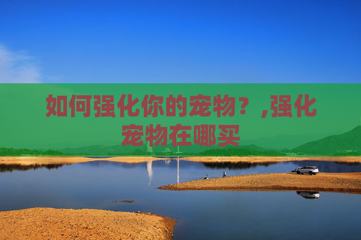 如何强化你的宠物？,强化宠物在哪买