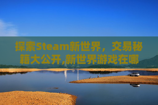 探索Steam新世界，交易秘籍大公开,新世界游戏在哪交易