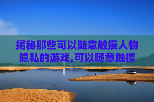揭秘那些可以随意触摸人物隐私的游戏,可以随意触摸人物隐私的单机游戏