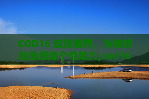 COD16 皮肤推荐，为你的战场增添个性魅力,cod16哪个皮肤好看
