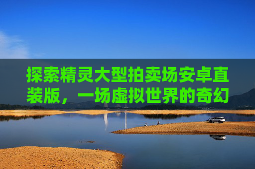 探索精灵大型拍卖场安卓直装版，一场虚拟世界的奇幻之旅,精灵大型拍卖场下载