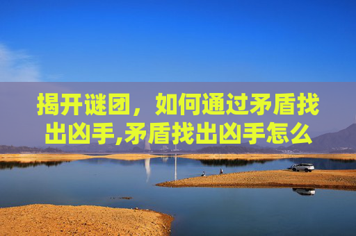 揭开谜团，如何通过矛盾找出凶手,矛盾找出凶手怎么下载软件