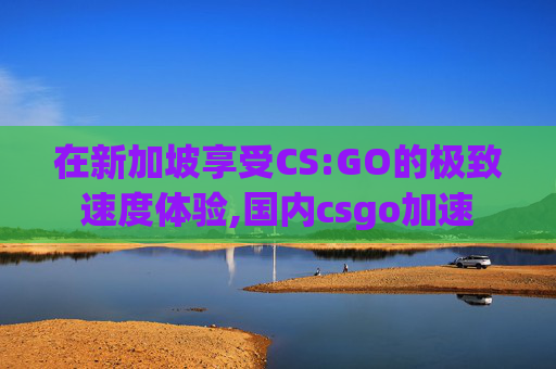 在新加坡享受CS:GO的极致速度体验,国内csgo加速