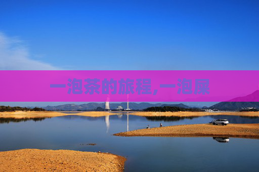 一泡茶的旅程,一泡屎