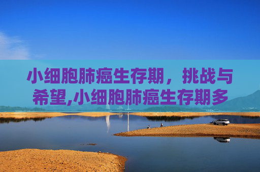 小细胞肺癌生存期，挑战与希望,小细胞肺癌生存期多久