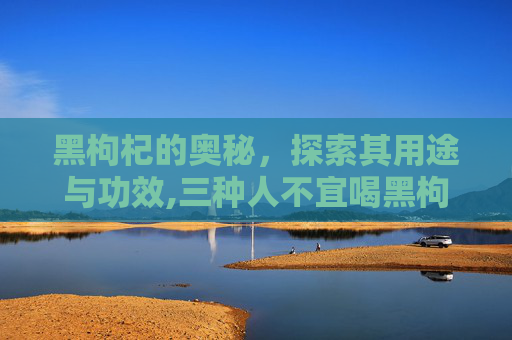 黑枸杞的奥秘，探索其用途与功效,三种人不宜喝黑枸杞