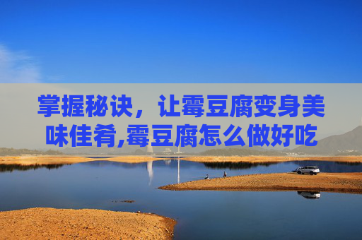 掌握秘诀，让霉豆腐变身美味佳肴,霉豆腐怎么做好吃,家庭自制需要发酵几天?