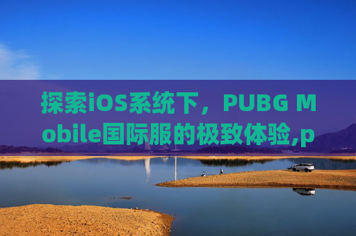探索iOS系统下，PUBG Mobile国际服的极致体验,pubg国际服手游ios