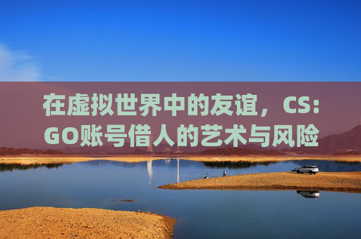 在虚拟世界中的友谊，CS:GO账号借人的艺术与风险,csgo号借人了会被盗饰品吗