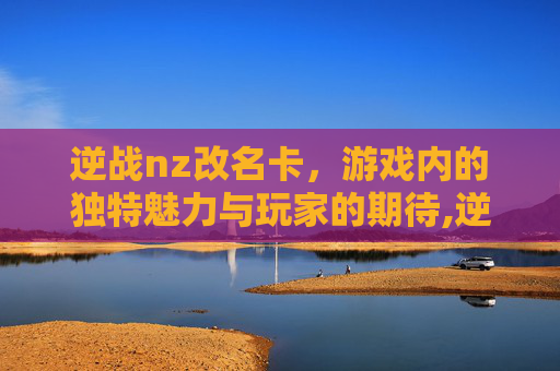 逆战nz改名卡，游戏内的独特魅力与玩家的期待,逆战的改名卡
