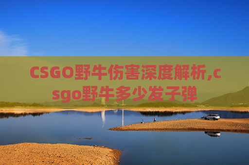 CSGO野牛伤害深度解析,csgo野牛多少发子弹