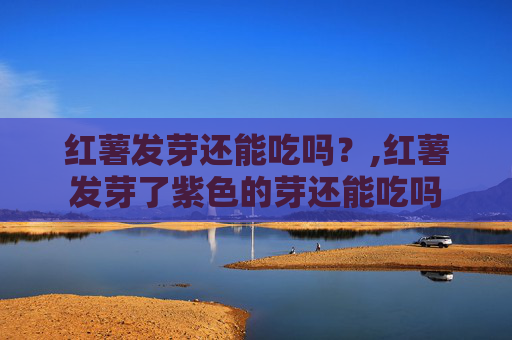 红薯发芽还能吃吗？,红薯发芽了紫色的芽还能吃吗
